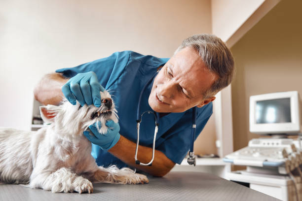 Best After-Hours Dental Trauma Care in Dalton, GA